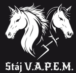 Stáj V.A.P.E.M. | Jezdecká škola s možností výuky lidí od 3 do 99 let, zaměřená na <br/>výstavnictví a speciální výstavní třídy ostatních původních britských <br/>plemen a plemen schetland ponny. 